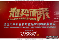 携手前行，引领未来，天莱耀势而莱年会典礼圆